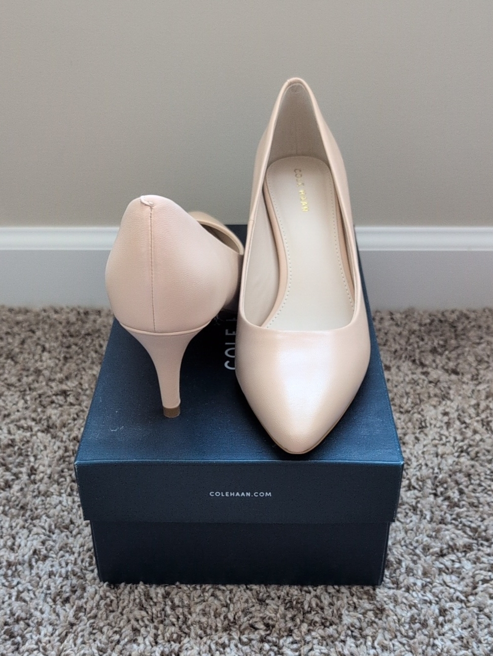 Cole Haan Blush Leather Pointed-Toe Pumps
